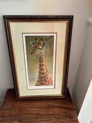 Framed Giraffe Head Print