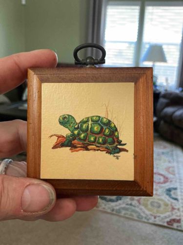Miniature Framed Tortoise Illustration by Thelma