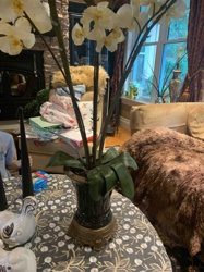 Faux Orchid Planter