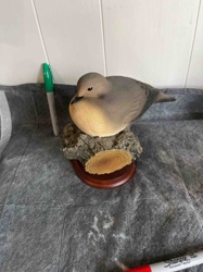 Ducks Unlimited 2005-2006 Mourning Dove Decoy / Figurine