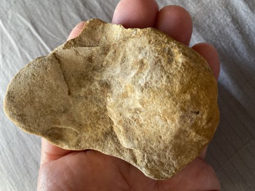 Lower Paleolithic Chopper-Style Lithic Tool