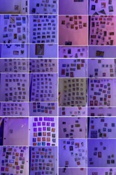 Worldwide Stamp Collection in Album Sheets