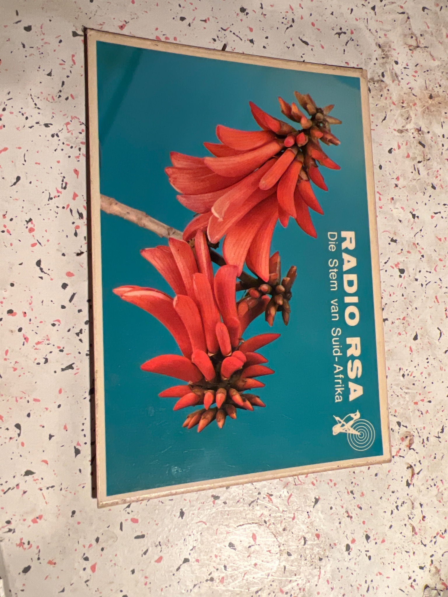 Submitted photo of Vintage Radio RSA promotional plaque or sign (unauthenticated)