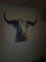 Abstract Longhorn Bull Horns Wall Art Canvas Print