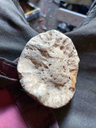 Weathered Geode Fragment or Porous Rock