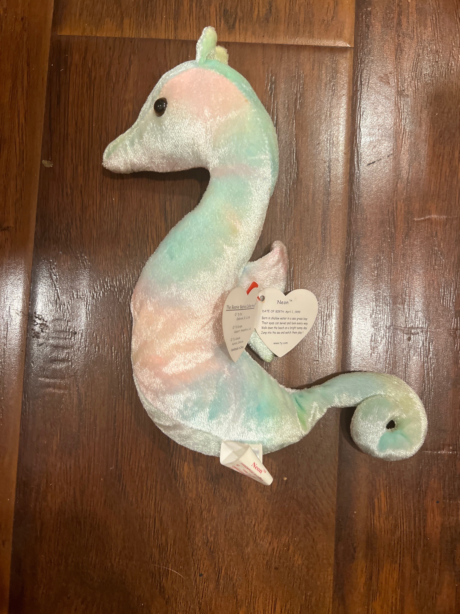 Submitted photo of Ty Beanie Baby Neon the Seahorse (not authenticated)