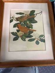 Framed Cardinal and Tanager Bird Art Print with Magnolias