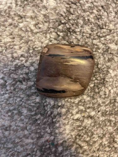 Polished Banded Stone (Likely Petrified Wood or Jasper)