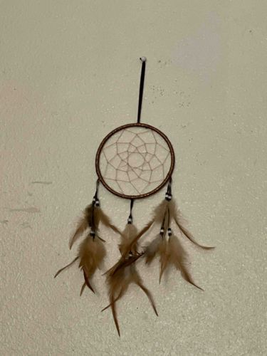 Coiled Web Dreamcatcher with Feathers