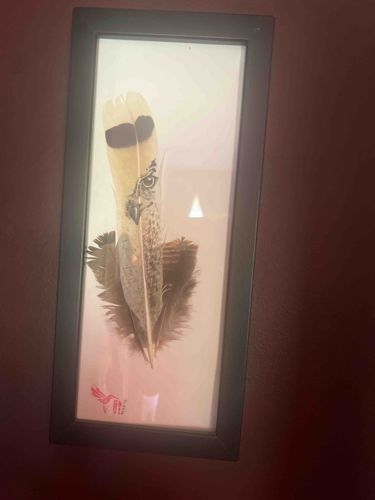 Framed Owl Feather Art