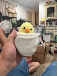 Plush Chick in Eggshell