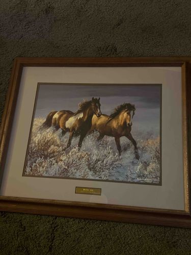Wild Horses Framed Art Print