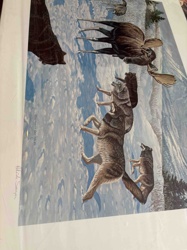 Limited Edition Wildlife Art Print, 'Challenge' by Patrick Sawyran (1986)