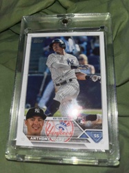 Anthony Volpe 202X Topps New York Yankees Rookie Card in One-Touch Holder