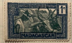 Madagascar 1 Centime 'Zebu and Herder' Postage Stamp