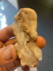 Raw Botryoidal Quartz/Chalcedony Specimen with Earthy Inclusions