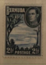 Bermuda 2½d Postage Stamp (King George VI)