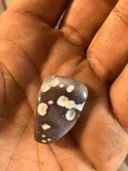 Polished Orbicular Jasper Stone
