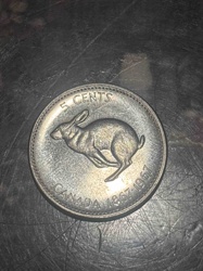 Canadian 5 Cent Coin (Rabbit Design)
