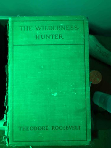 The Wilderness Hunter by Theodore Roosevelt