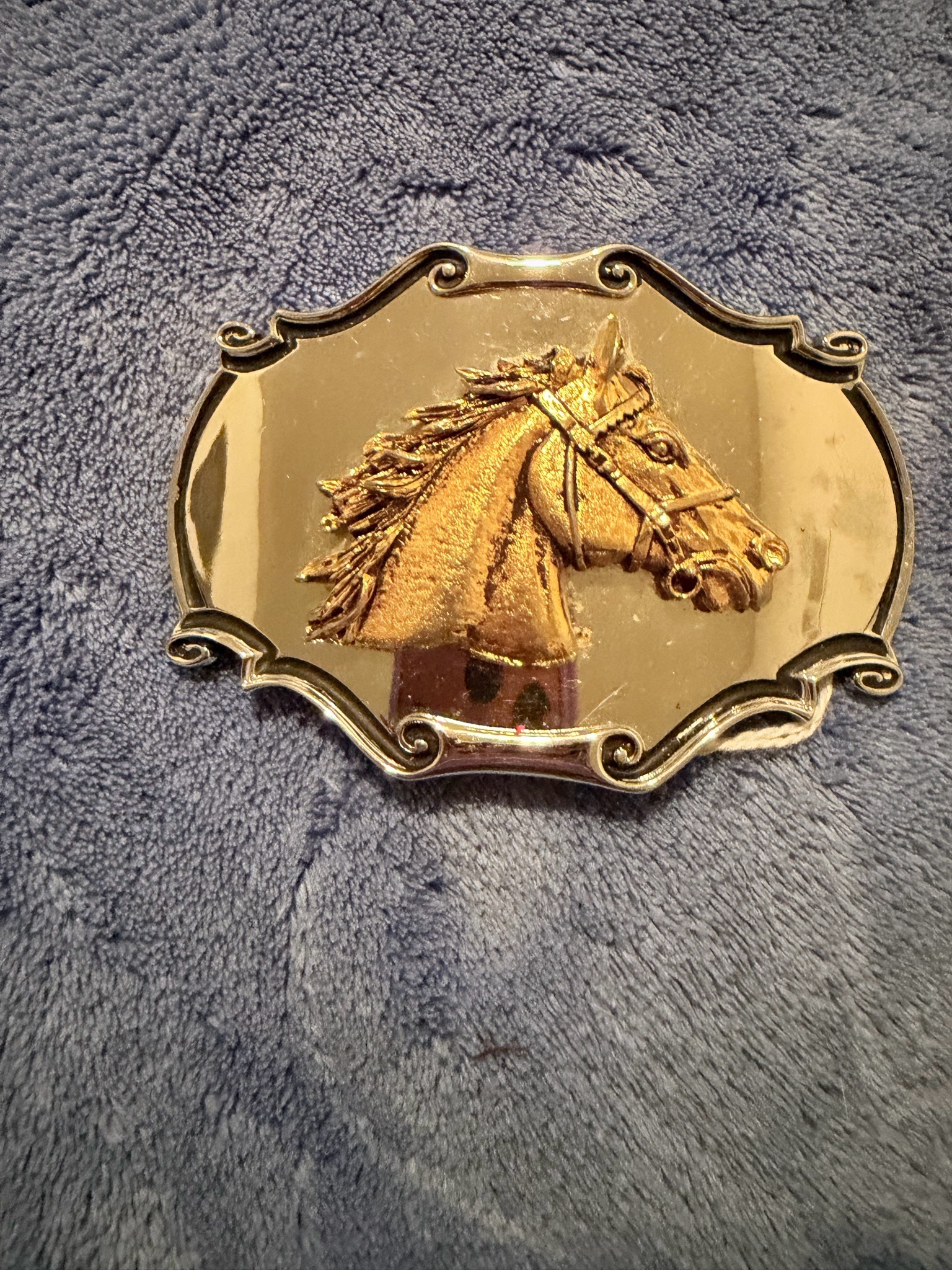 Submitted photo of Western horse belt buckle