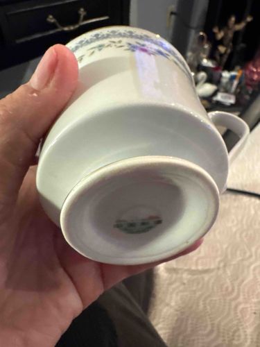 Vintage Fine China Floral Teacup