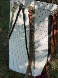 Assorted Collection of Belts