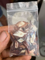 Fragmented Betel Nuts in Plastic Bag
