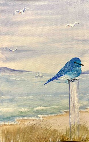 Blue Bird on Post at Coast by Mary Chesney