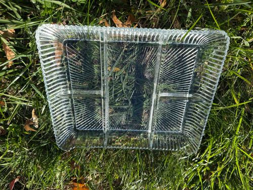 Clear Pressed Glass Divided Serving Tray