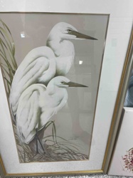 Framed Print of Two White Egrets