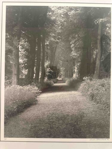 Limited Edition Black and White Landscape Photograph by Susan Blanchard