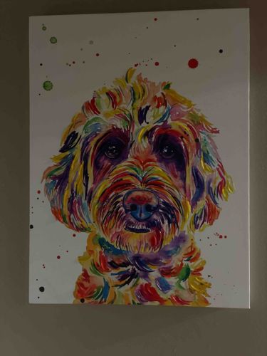 Contemporary Multi-Color Dog Portrait Painting