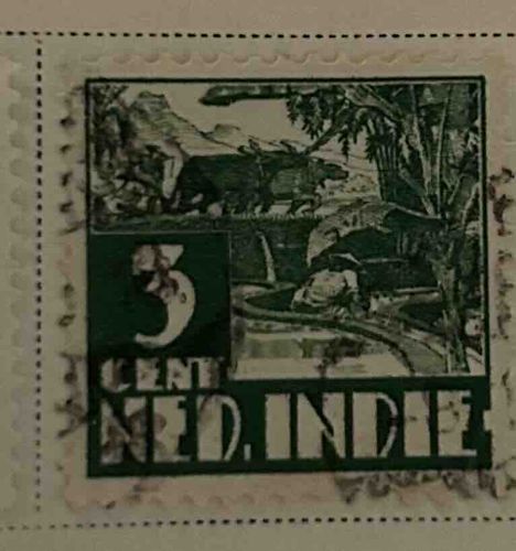 Netherlands Indies 3 Cent Stamp, Water Buffalo and Paddy Field