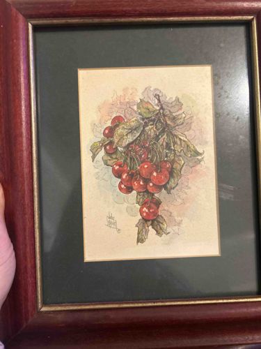 Framed Cherry Botanical Art Print