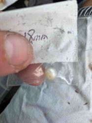 Single 18mm Pearl in Packaging