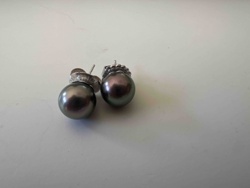Tahitian Pearl and White Gold Stud Earrings