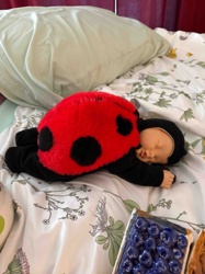 Ladybug Baby Doll Plush