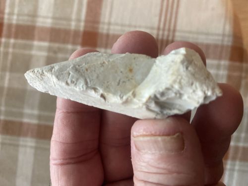 Paleo-Indian Chert Knife-Scraper Tool