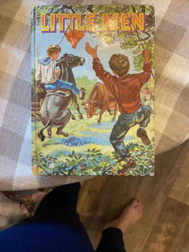 LITTLE MEN (Hardcover Book)