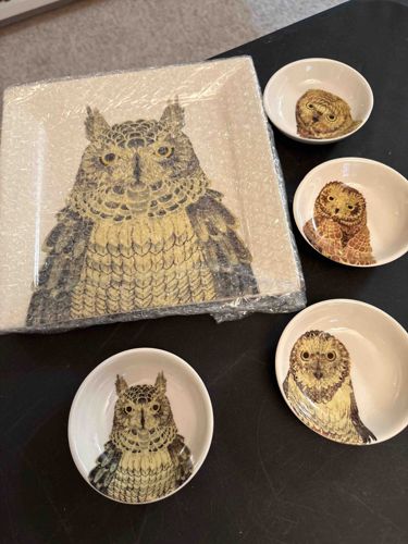 Owl Illustration Rectangular Platter and Matching Dipping Bowls Set