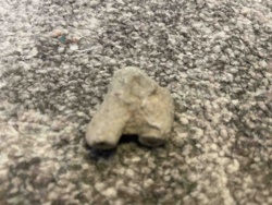 Fragment of an Ancient Stone Figurine (Possible Animal Leg/Base)