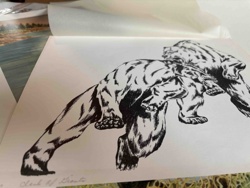Big Trouble (Tigers) by Clark K. Kiente