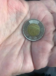 Canadian 2000 Millennium Lucky Loonie 2-Dollar Coin