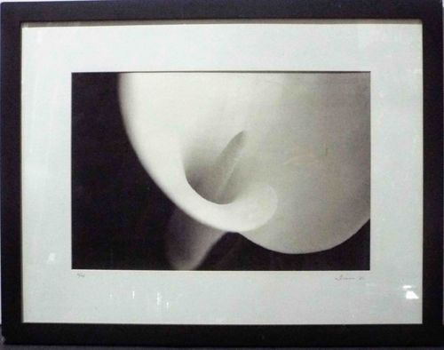 Framed Black and White Macro Photograph of a Calla Lily