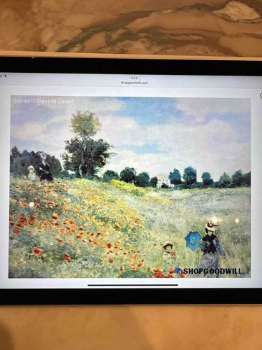 Digital Display of 'Poppy Field near Argenteuil' (Monet Reproduction) from ShopGoodwill