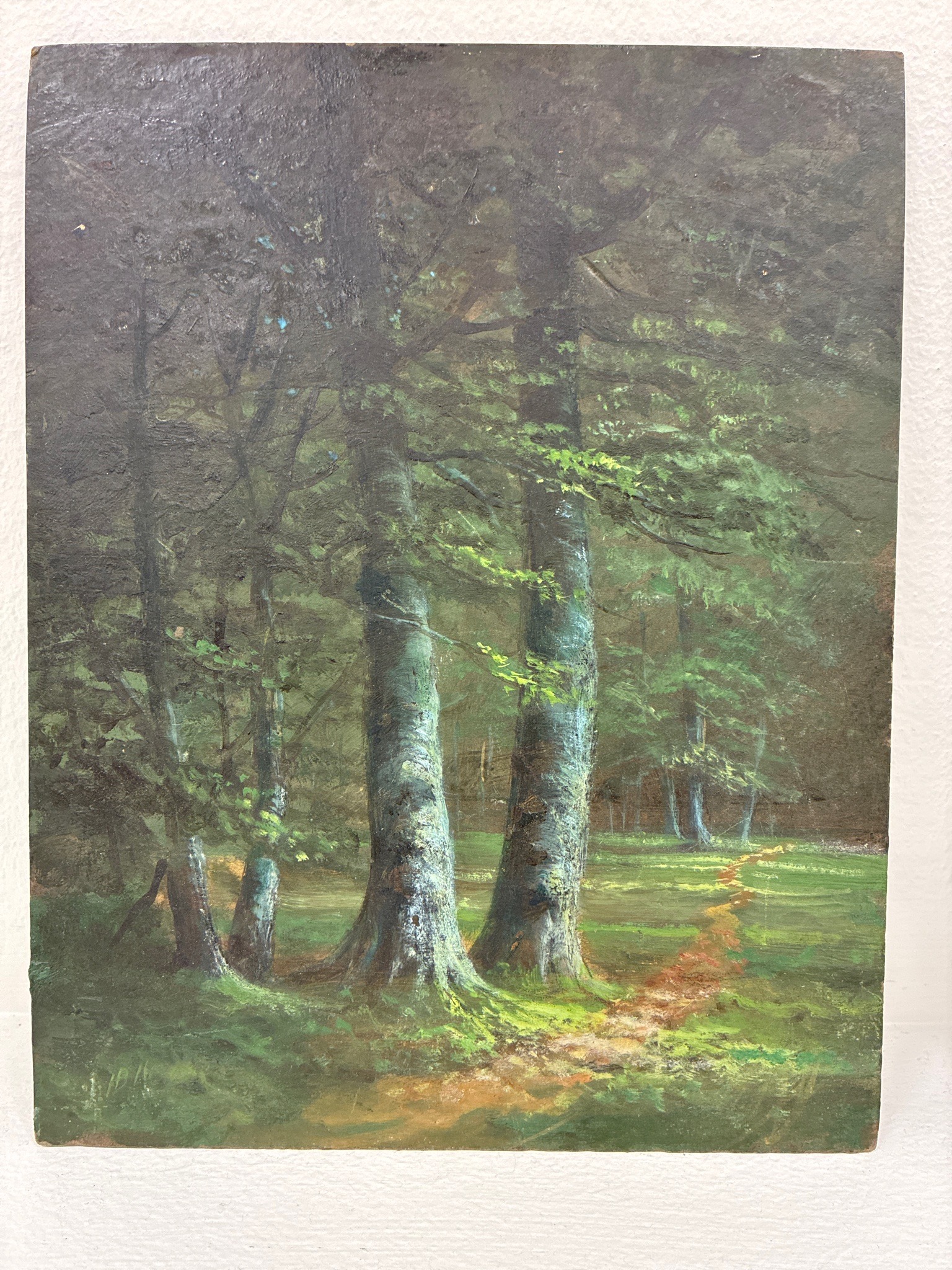 Submitted photo of Oil landscape painting, bears a signature