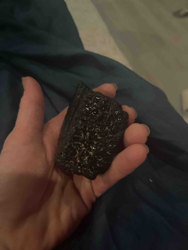 Fragmented Mammal Fossil (Cebidae or Similar Order)