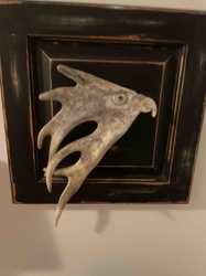 Carved Antler Eagle Head Wall Art