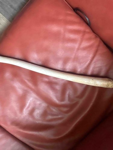 Weathered Bone or Ivory Tusk Section
